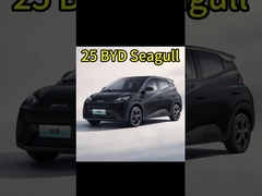 خودروهای الکتریکی چینی