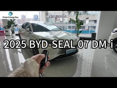 خودروهای الکتریکی چینی